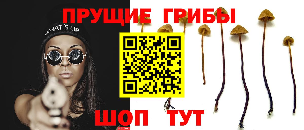Псилоцибиновые грибы Magic Shrooms Вичуга